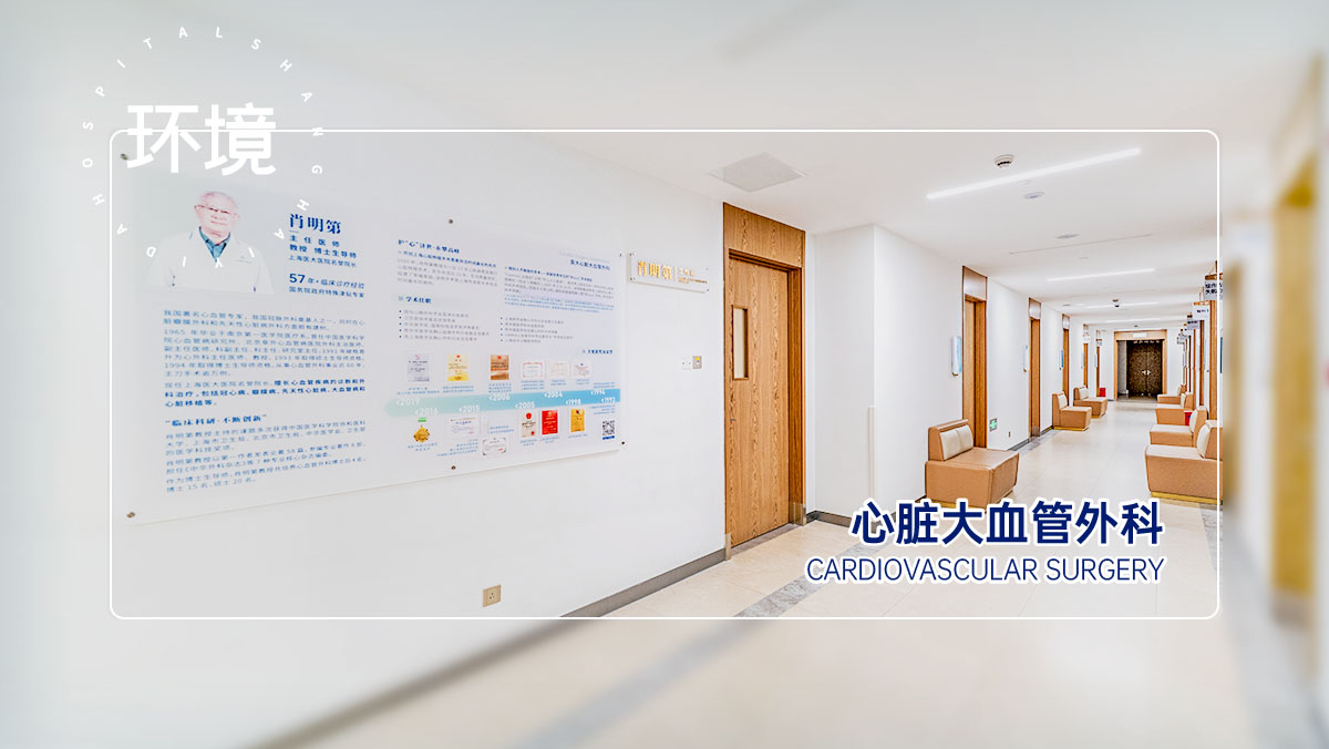 心脏大血管外科