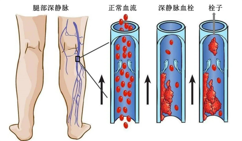 微信图片_20240603131946.jpg