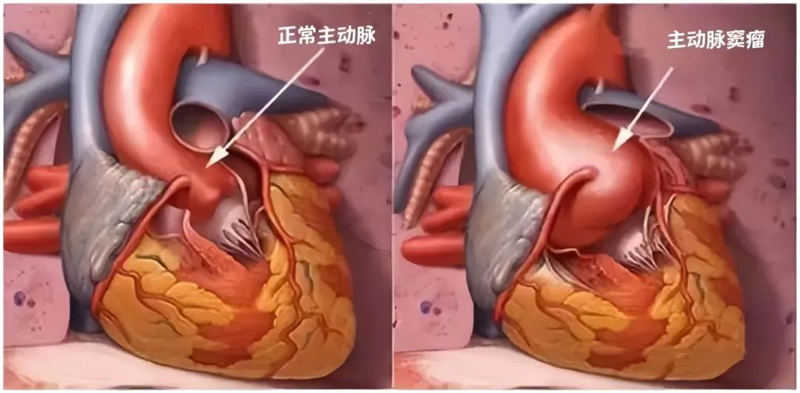 微信图片_20241026112938.jpg